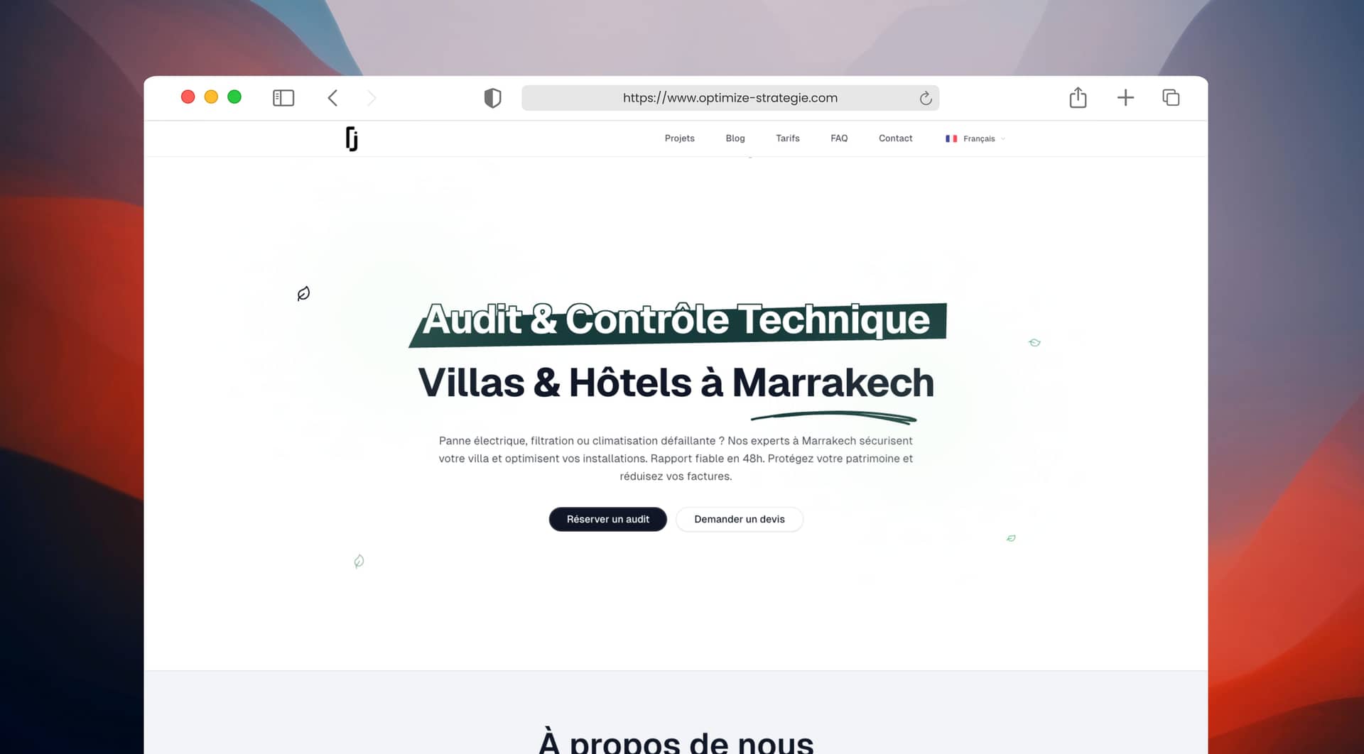 Optimize Stratégie