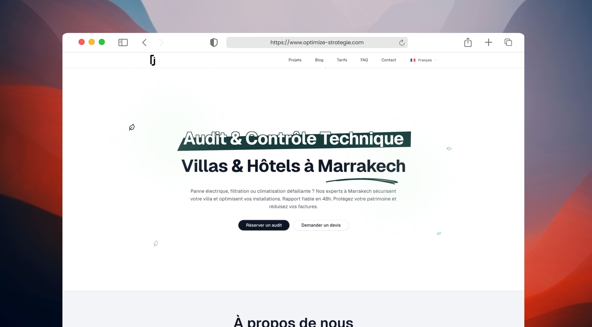 Optimize Stratégie